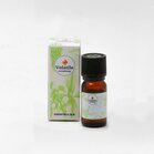 Volair fresh Volatile 5ml