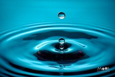  LDN-L&ouml;sung (0,25 mg / Tropfen) - 10 ml