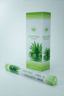 Wierook aloe vera Green Tree 20st